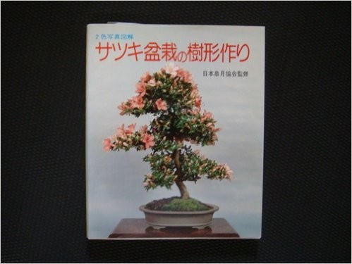 Satsuki bonsai tree - tree-making, /