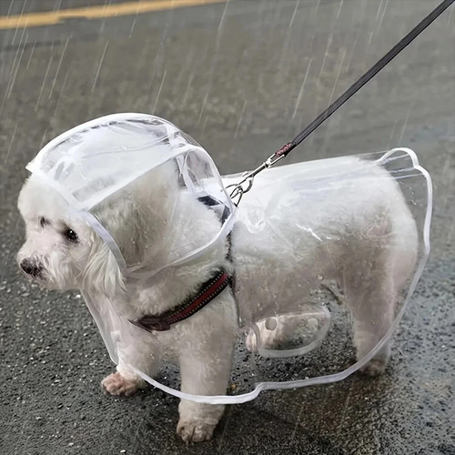 Dog raincoat transparent - raincoat,