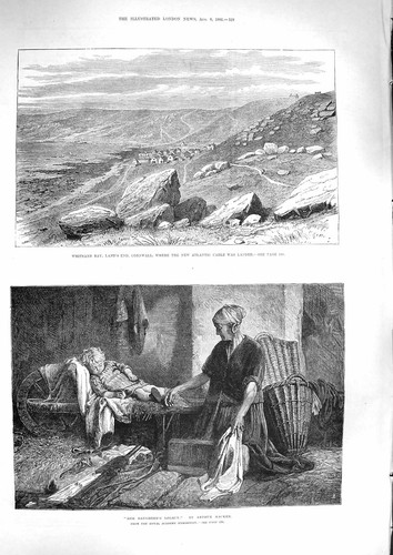 Old antique print 1881 - old,