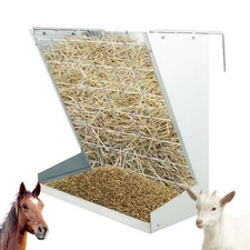 Goat sheep horse heavy - sheep,