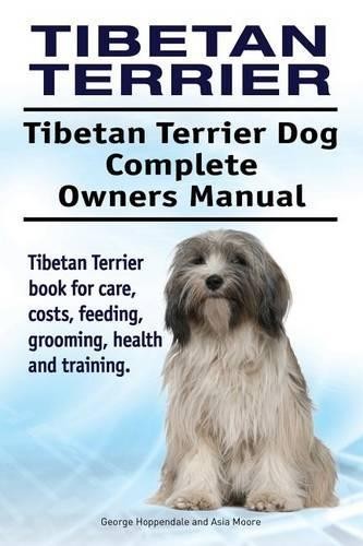 Tibetan terrier - tibetan, terrier.