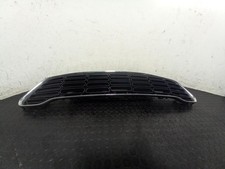 MINI (BMW) COUNTRYMAN GRILLE Mk1 (R60) Main Grille (Standard CooperS/CooperSD) 2