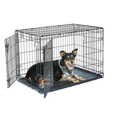 Foldable Black Dog Cage Pet Crate Medium Puppy Metal Training Carrier 24-Inch