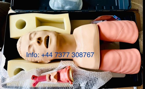Laerdal airway head management - head,