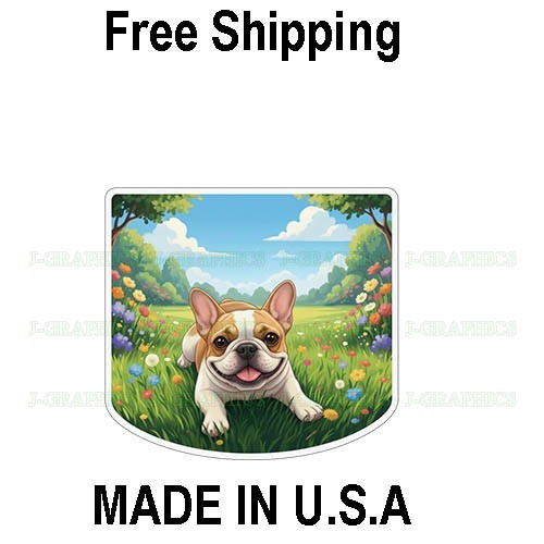 French bulldog frenchie - french,