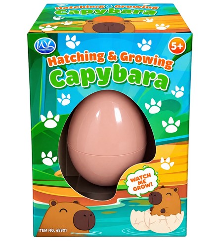 Capybara egg hatching kit - capybara,
