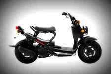 Honda Ruckus 2018 2 A4 Photo