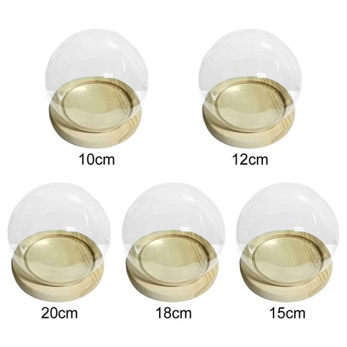 Round glass dome cloche - glass,
