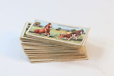 Rare Vintage 49 Wills's