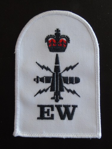 Petty officer electronic - petty,