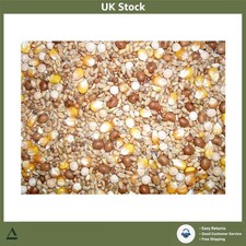 Pigeon Seed Mix Wholesome
