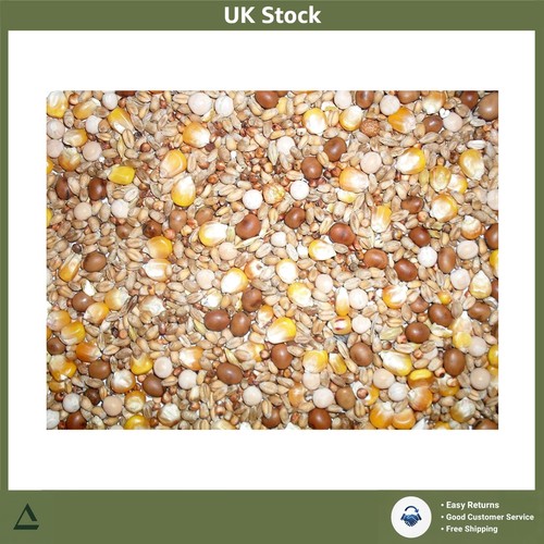 Pigeon seed mix wholesome - pigeon,