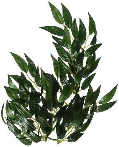 Silk ruscus terrarium plant - ruscus,