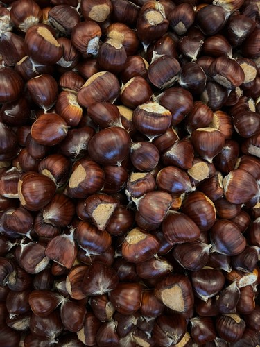 1kg sweet chestnuts - sweet, wild