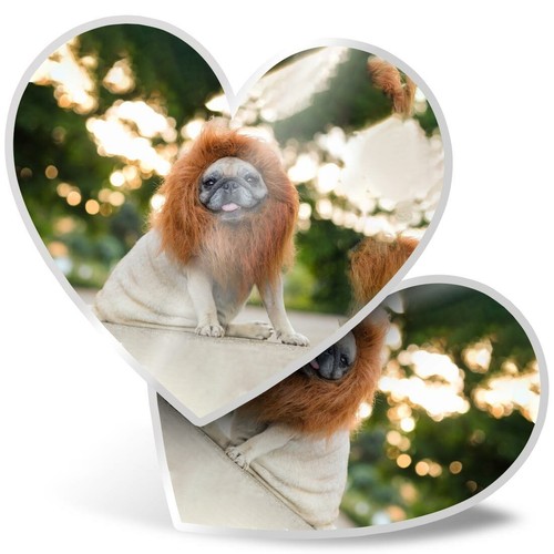 Heart stickers cm - cm,