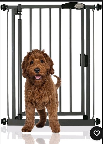 Bettacare white dog safety - dog,