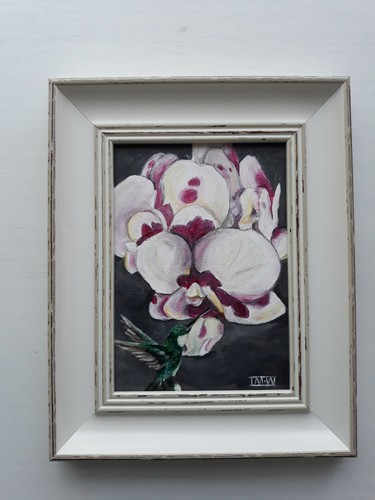 Humming bird orchids - humming, &