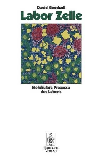 Labor zelle david - labor,