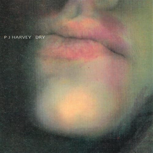 Harvey dry pj cd - pj,