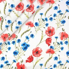 Poppy red flowers meadow on