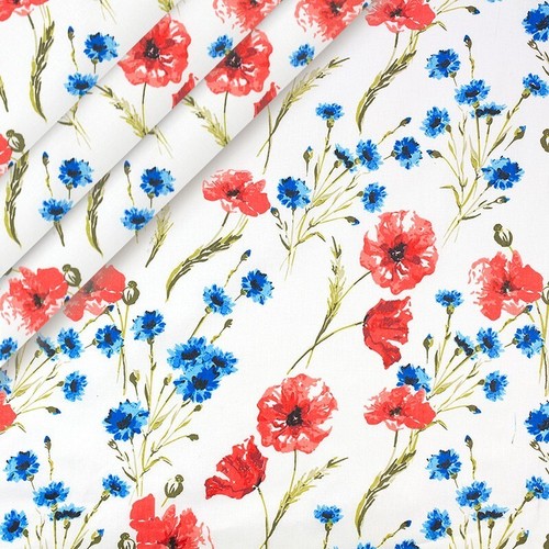 Poppy red flowers - , meadow
