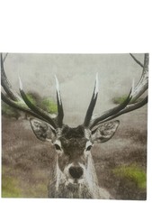 Stag Close Up Canvas Wall Art Picture Print 40 Cm Sq