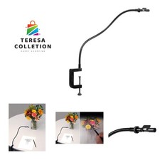 The 21st Century Camera Lucida