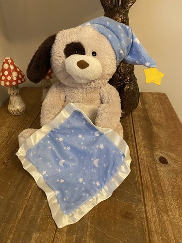 Morrisons peekaboo singing - peekaboo, dog