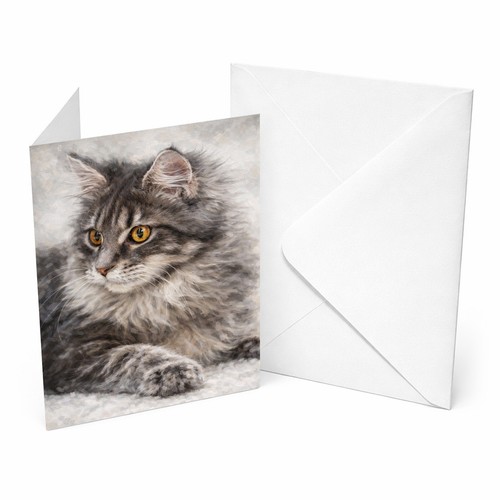 Maine coon cat a5 - maine,