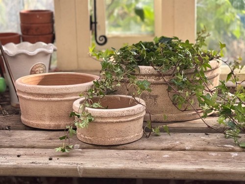 Garden pot terracotta bowl - garden, 1x