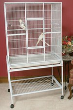 X-LARGE Bird Flight Breeding