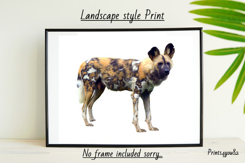 African wild dog print - african, a4
