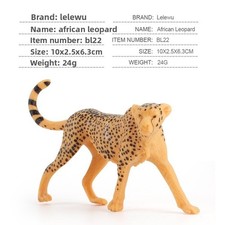 Childrens Wildlife Animal