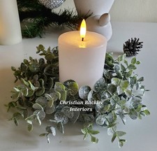 Small Frosted Eucalyptus