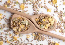 Kennedy Wild Premium Duck and