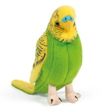 Budgie Budgerigar Yellow with