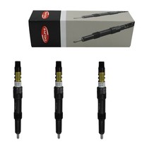 Reman Delphi Injector