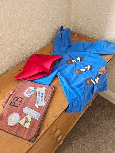 Paddington bear fancy - bear,