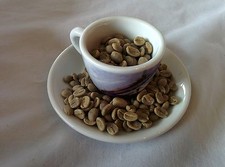 Green Coffee Beans RAW India