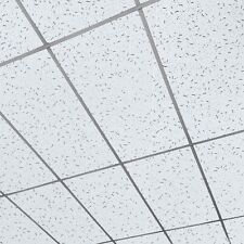 Fissured Suspended Ceiling