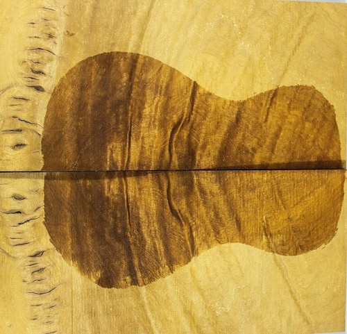Ripple golden phoebe wood - golden,