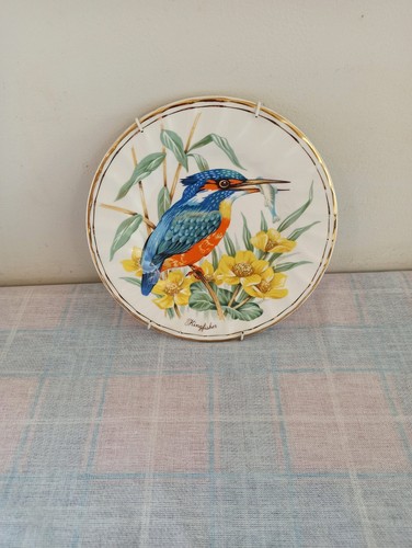 Vintage kingfisher wall plate - wall,