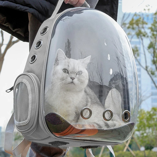 Transparent pet cat carrier - pet,