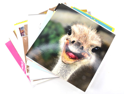 Paperchase cards large - ,