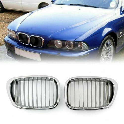 Chrome front kidney - kidney, mesh