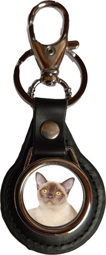 Burmese cat pet black - burmese,
