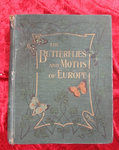 The butterflies and moths - and,