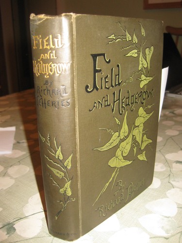 Field and hedgerow richard - field,
