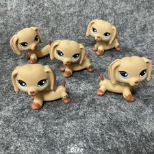 Pack 5pc Little Pet Shop LPS