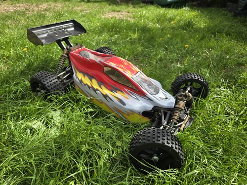 Racing panthera huge - huge, scale